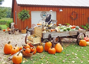 Many businesses are decorated for the season, or have gotten creative with displaying their wares for sale. This pile of pumpkins, squash and gourds was set up at Country Junk during last Saturday’s Hill and Valley Exploration Tour.