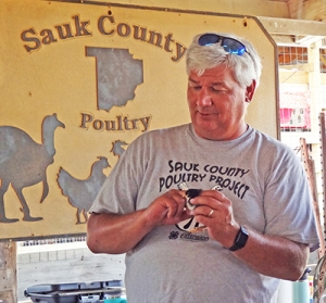 A volunteer handles a chick at the Sauk County Fair on Saturday.